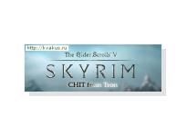 Skyrim -  